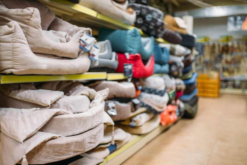 Inside pet shop, shelves with accessories, store for domestic animals, nobody. Petshop variety, no people